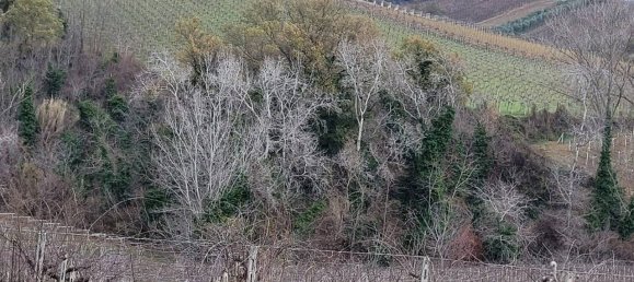 3 bedrooms House in Villamagna, Italy No. 294161 2