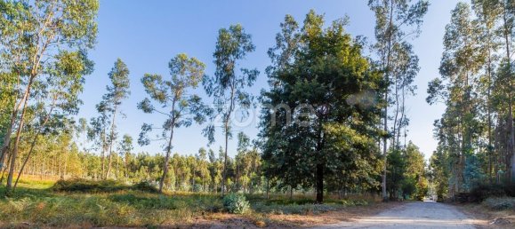 Terreno em Santo Tirso, Portugal 7900 m² N.º 64683 2