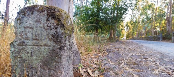 Terreno em Santo Tirso, Portugal 7900 m² N.º 64683 7