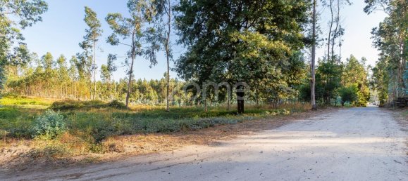 Terreno em Santo Tirso, Portugal 7900 m² N.º 64683 6