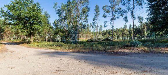 Terreno em Santo Tirso, Portugal 7900 m² N.º 64683 4