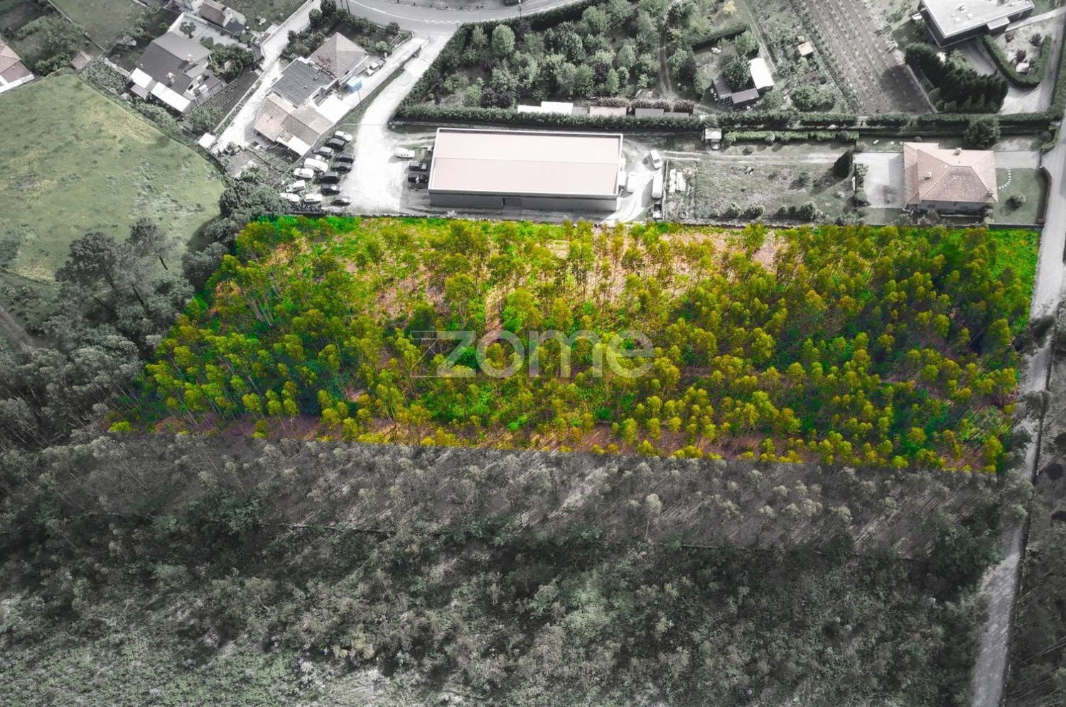 Terreno em Santo Tirso, Portugal 7900 m² N.º 64683