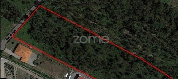 Terreno em Santo Tirso, Portugal 7900 m² N.º 64683 9