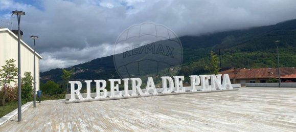 4 bedrooms House in Ribeira de Pena, Portugal No. 19577 32