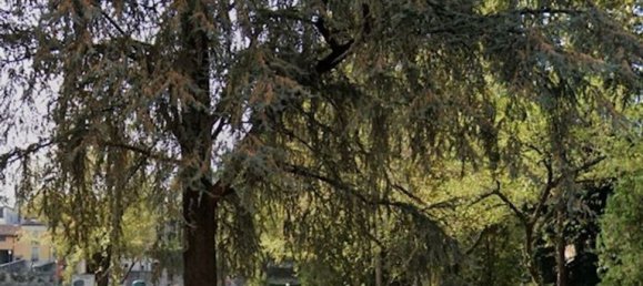 6 rooms Apartment in Valdagno, Italy No. 270281 6