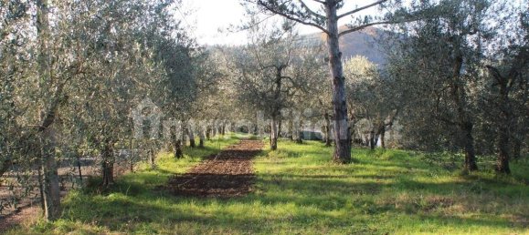 3 bedrooms Apartment in Florence, Italy No. 233125 9