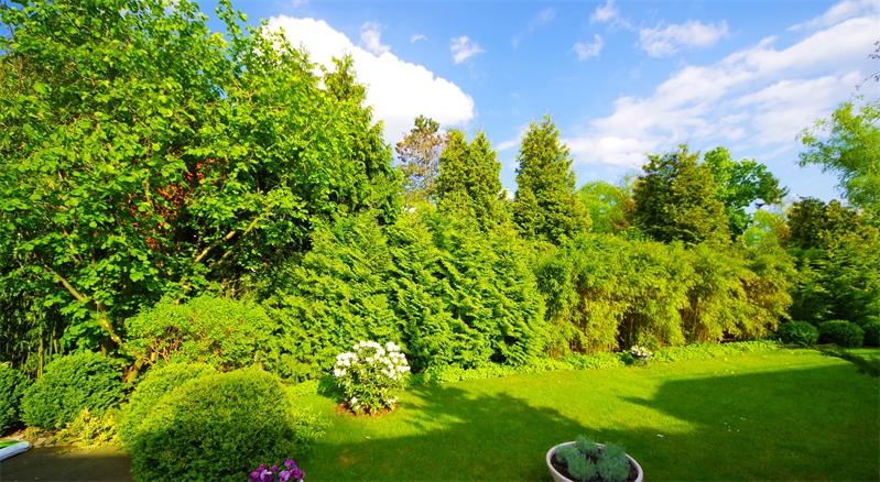 5-salle Maison à Potsdam-Mittelmark, Germany No. 46566