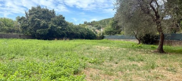 1 bedroom House in Massa, Italy No. 281872 13