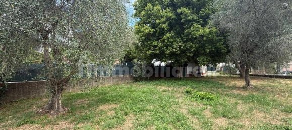 1 bedroom House in Massa, Italy No. 281872 11