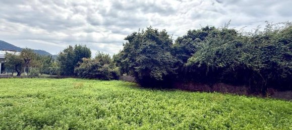 1 bedroom House in Massa, Italy No. 281872 6