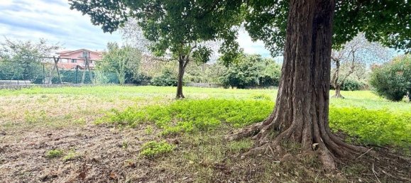 1 bedroom House in Massa, Italy No. 281872 16