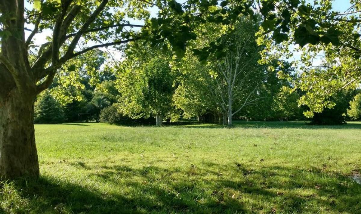  Land in General Rodriguez, Argentina No. 39484