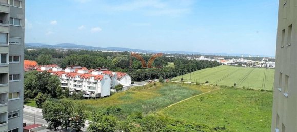 4 Schlafzimmer Wohnung in Maria Enzersdorf, Austria, Nr. 30089 21