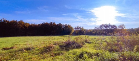 4 bedrooms House in Preuilly-sur-Claise, France No. 154741 18