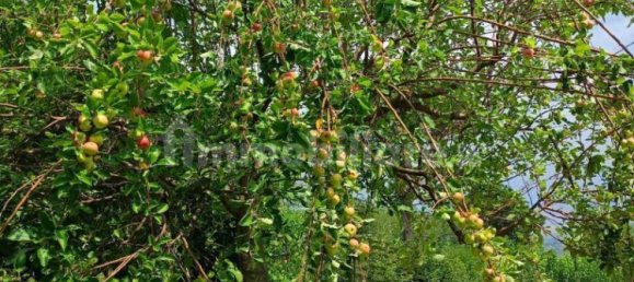 Casa de 1 dormitorio en Pietrastornina, Italy No. 314305 18