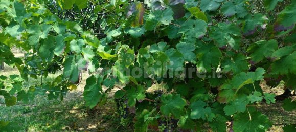 Casa de 1 dormitorio en Pietrastornina, Italy No. 314305 19