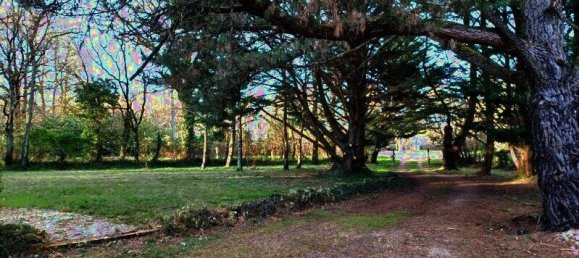 Villa de 4 dormitorios en Sainte-Flaive-des-Loups, France No. 106447 3