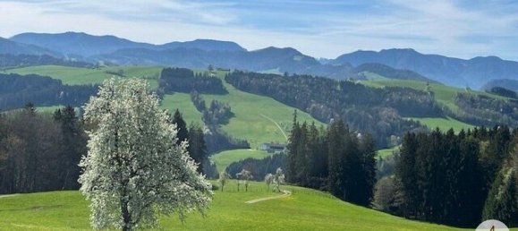  Land in Randegg, Austria No. 162773 3