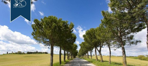 13 bedrooms Hotel in Montepulciano, Italy No. 232173 4