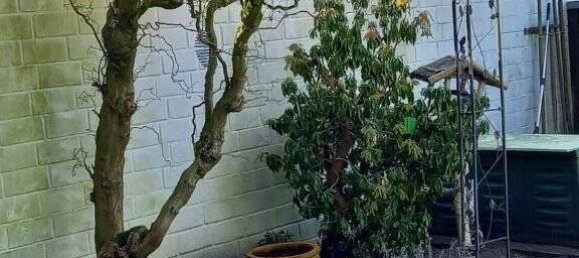 3-Zimmer Wohnung in Borken, Germany, Nr. 49925 19