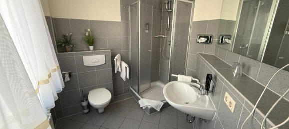 Hotel in Mecklenburgische Seenplatte, Germany 480m², Nr. 233800 20