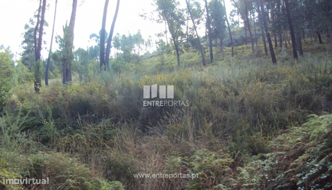  قطعة أرض في Marco de Canaveses, Portugal 5420متر مربع رقم 57461