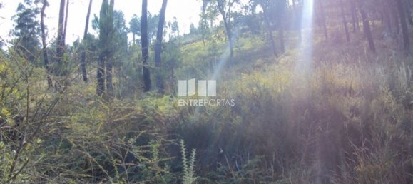  قطعة أرض في Marco de Canaveses, Portugal 5420متر مربع رقم 57461 7