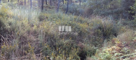  قطعة أرض في Marco de Canaveses, Portugal 5420متر مربع رقم 57461 8