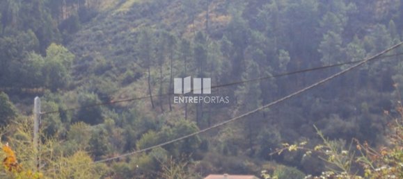  قطعة أرض في Marco de Canaveses, Portugal 5420متر مربع رقم 57461 12