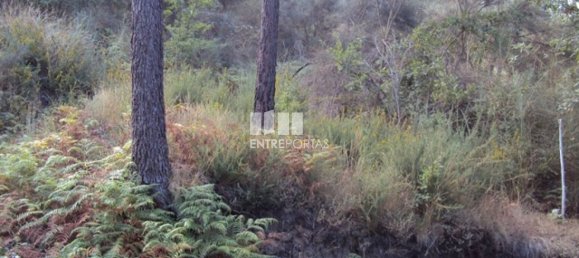  قطعة أرض في Marco de Canaveses, Portugal 5420متر مربع رقم 57461 6