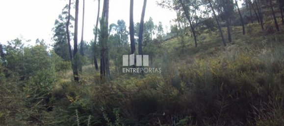  قطعة أرض في Marco de Canaveses, Portugal 5420متر مربع رقم 57461 5