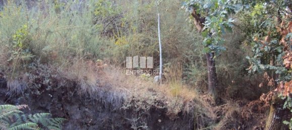  قطعة أرض في Marco de Canaveses, Portugal 5420متر مربع رقم 57461 2