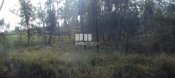  قطعة أرض في Marco de Canaveses, Portugal 5420متر مربع رقم 57461 14