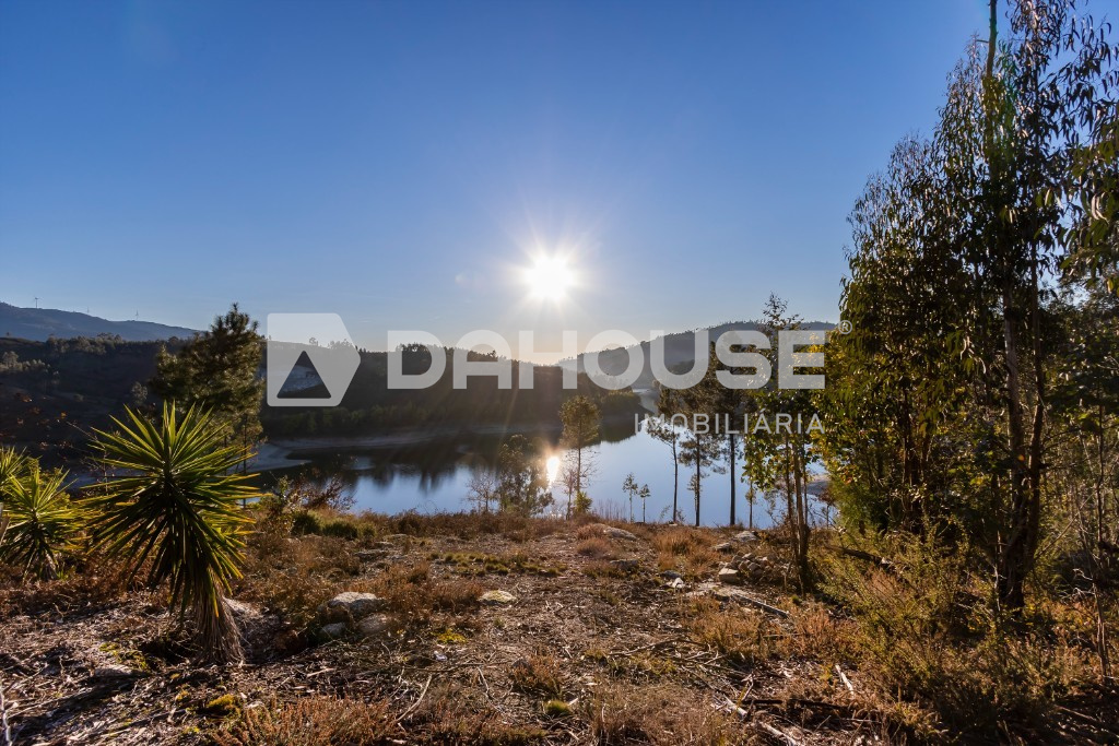 12130m² Land in Rossas, Portugal No. 61023