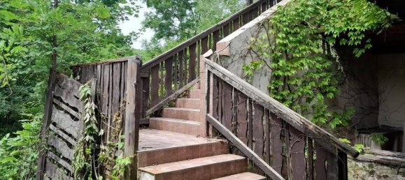  قطعة أرض في Wiesen, Austria رقم 44373 3