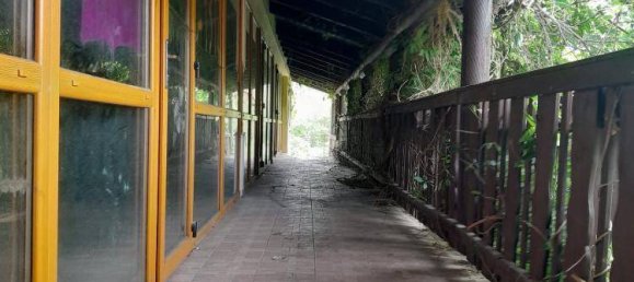  قطعة أرض في Wiesen, Austria رقم 44373 10