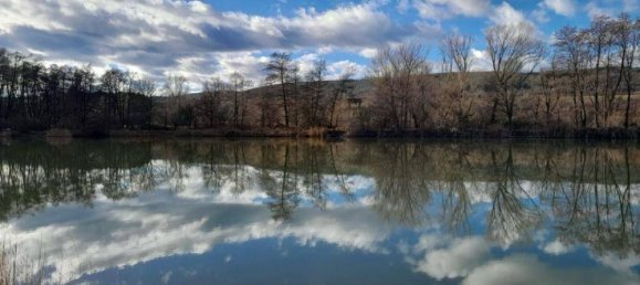  قطعة أرض في Wiesen, Austria رقم 44373 2