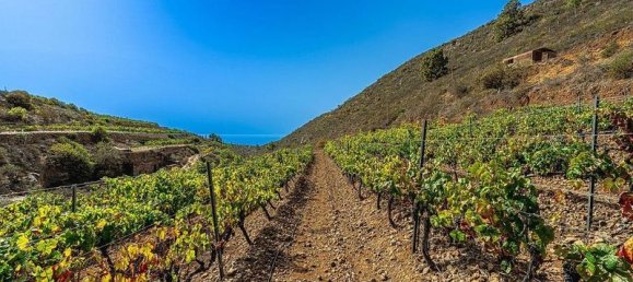 32927m² Land in Arico, Spain No. 143399 8