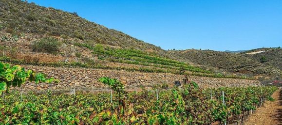 32927m² Land in Arico, Spain No. 143399 17