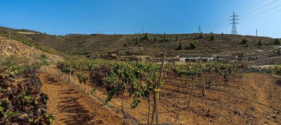 32927m² Land in Arico, Spain No. 143399 3