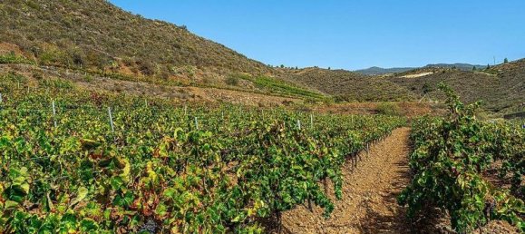 32927m² Land in Arico, Spain No. 143399 12