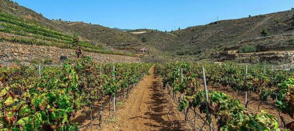 32927m² Land in Arico, Spain No. 143399 18