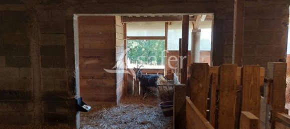 3 bedrooms Building in Artigues-pres-Bordeaux, France No. 293489 5