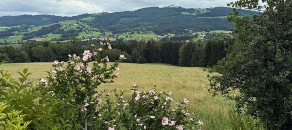 4 bedrooms House in Biberbach, Austria No. 215480 48