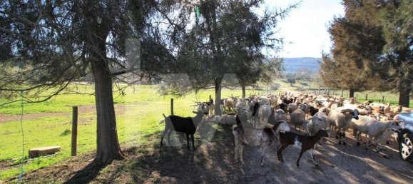 8 bedrooms Castles in Sao Bartolomeu de Messines, Portugal No. 57617 6