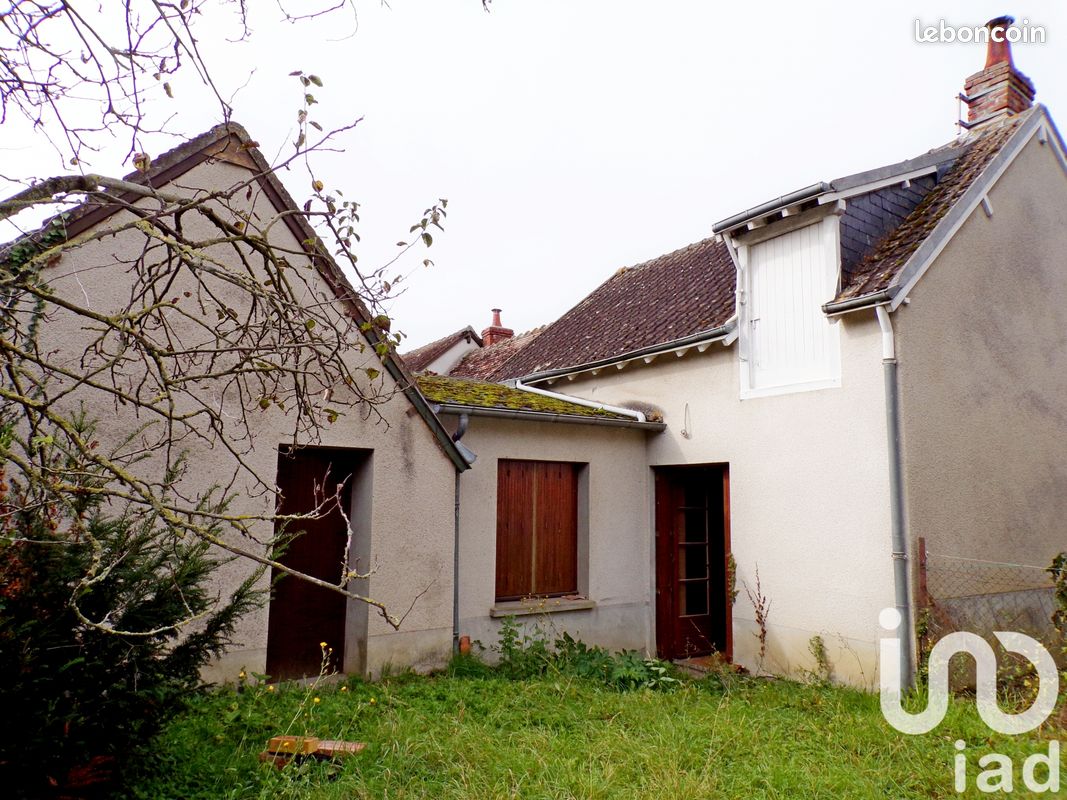 1 bedroom House in Neuvy-Saint-Sepulchre, France No. 237081