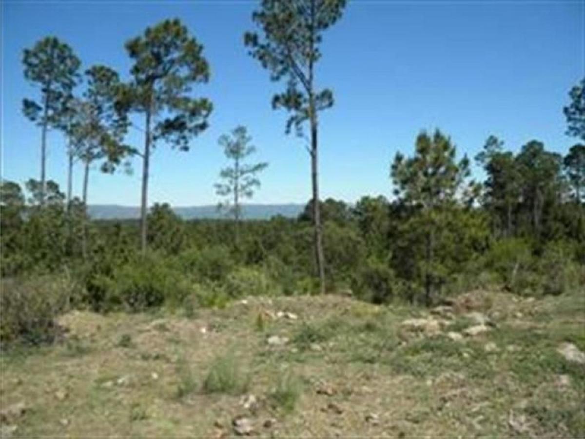  قطعة أرض في Cordoba, Argentina رقم 50202