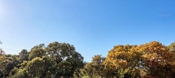 Grundstück in San Sebastian de los Reyes, Spain 8472m², Nr. 87094 13