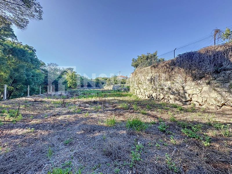 Дом с 3 спальнями в Каминья, Португалия № 292769