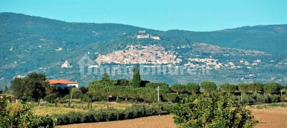 5 غرف نوم منزل في Cortona, Italy رقم 58500 18